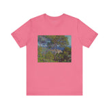 Bordighera | Tee