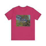 Bordighera | Tee