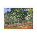 Forest | Satin Poster