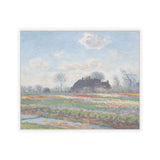 Tulip Fields | Sticker