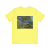 Bordighera | Tee