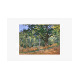 Forest | Satin Poster