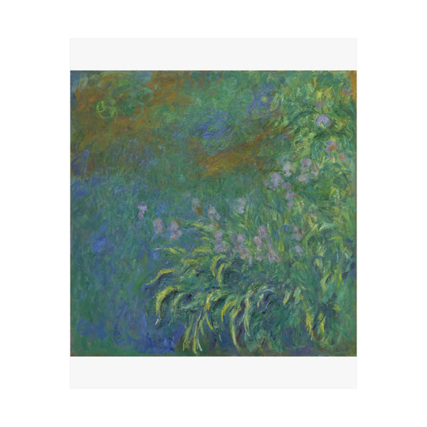 Irises | Satin Poster