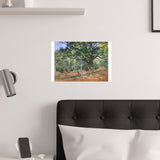 Forest | Satin Poster