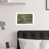 Lily Pond | Satin Poster