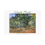 Forest | Titled | Satin Poster