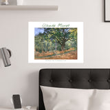 Forest | Titled | Satin Poster