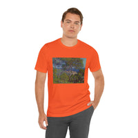 Bordighera | Tee