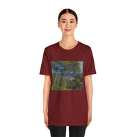 Bordighera | Tee