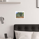 Forest | Titled | Satin Poster