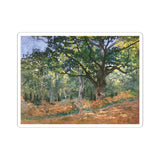 Forest | Sticker