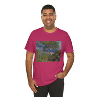 Bordighera | Tee