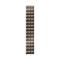 Belle-Isle | Wrapping Paper