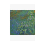 Irises | Satin Poster