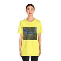 Bordighera | Tee