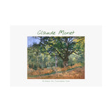 Forest | Titled | Satin Poster