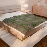 Willows | Blanket