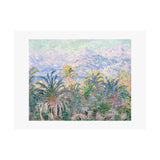 Palm Trees | Satin Poster