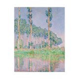 Poplars | Satin Poster