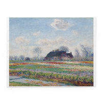 Tulip Fields | Puzzle
