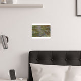 Lily Pond | Satin Poster