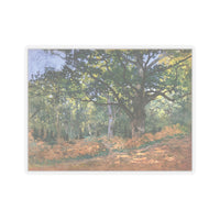 Forest | Sticker