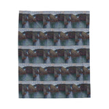 Port-Goulphar | Blanket